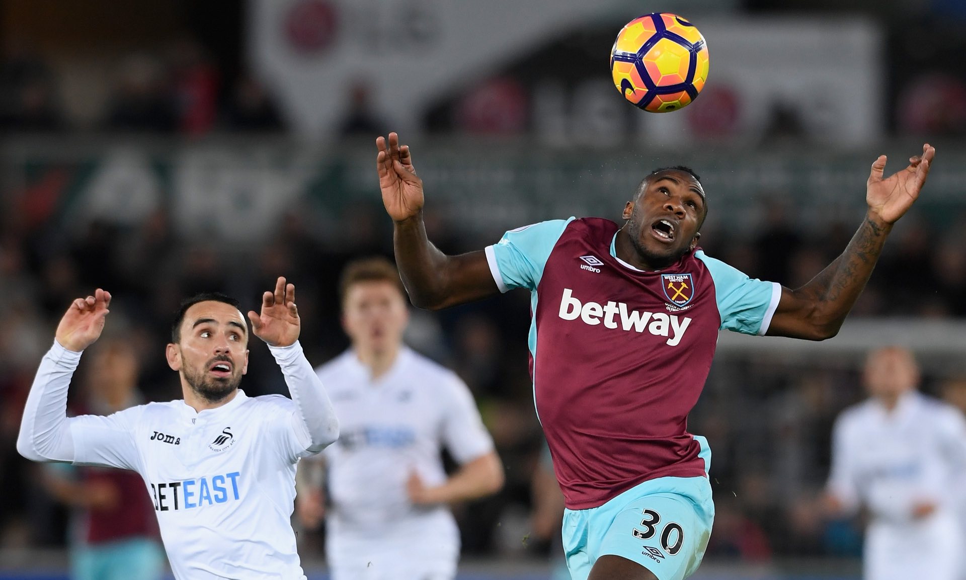 盟中不可或 盟中不可或